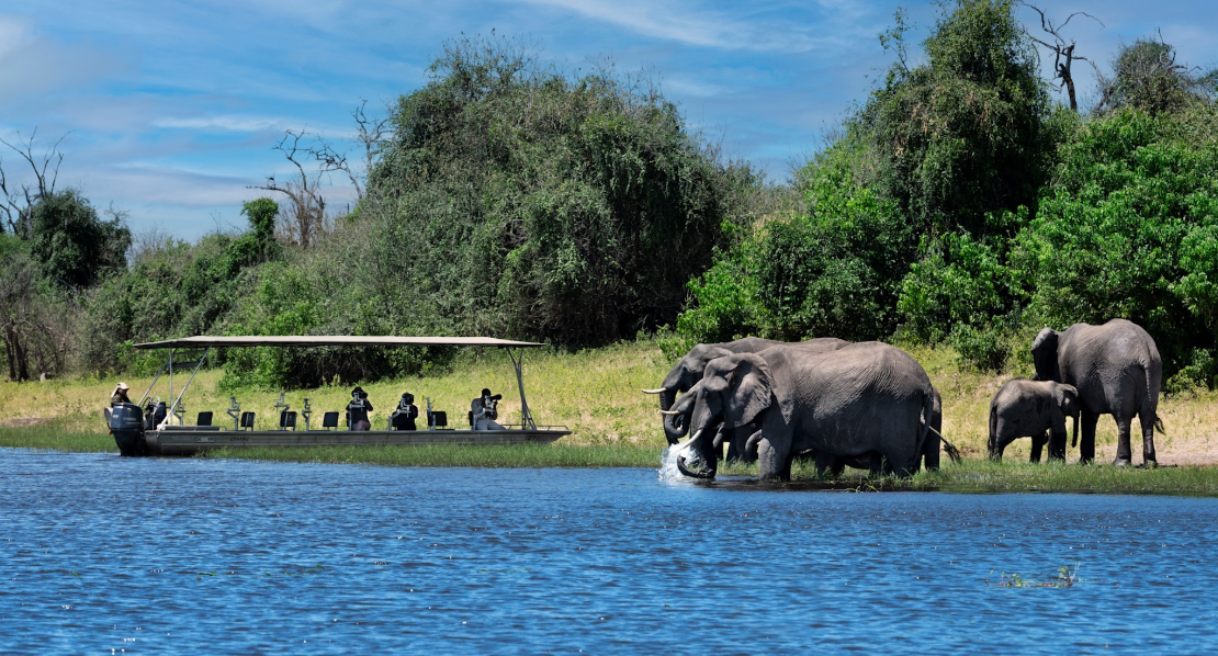 Chobe National Park, Chobe District (Kasane), Botswana